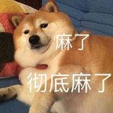花卷卷花花