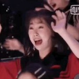磕cp专业户