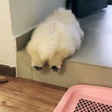 池边