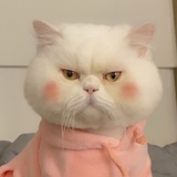 豆友232437568
