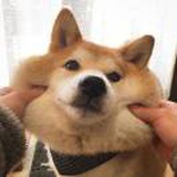 ω