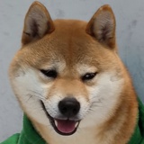 刘