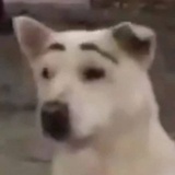 老铭