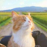 望云(´-ωก`)