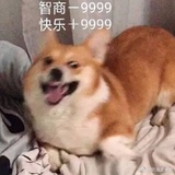 吃辣椒的长颈鹿