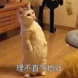 醉氧