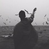 L尚中洲孤影