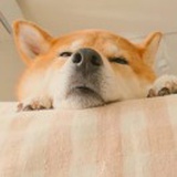 琅玕