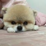 。