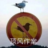顶风作案