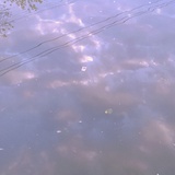 豆友232820752
