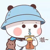 追风筝的人