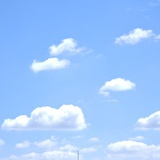 山野向明月