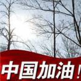 金龙sn