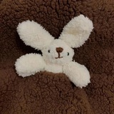 嗑嗑