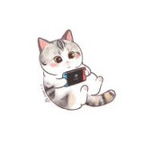 叫什么名字好呢
