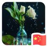 偏安一隅