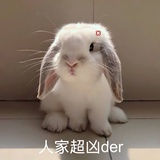 白云山