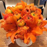 动感花菲尔