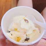 无情的上头磕糖