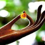 云水禅心
