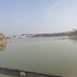 云云鱼泡泡