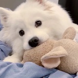 看戏不入戏