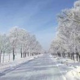 金沙乐百氏