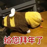 豆豆不逗