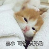 香辣虾水煮鱼麻