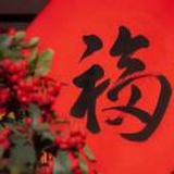 琴