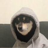 Q我