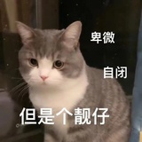 你当我是豆花吧