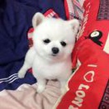 小9