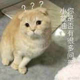 大呀大兄弟