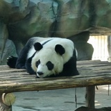 输入昵称