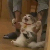 哦啦啦啦啦
