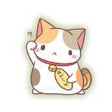 淡定的龙猪