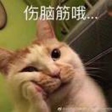 陈C橙CC