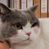 弘