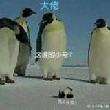 和光同尘