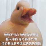 鸭鸭鸭