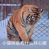 没看过几部电影