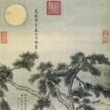 月照松林