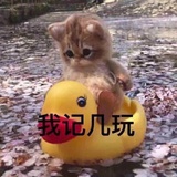 夏日限定冰美式