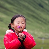 木子果果