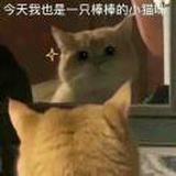 宸安