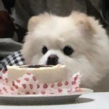 qiu