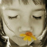 暗恋桃花源T