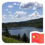 美丽的窗花